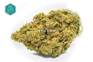 Encuentra alivio y tranquilidad con Remedy Flores CBD, flores de cbd diseñadas para relajar, con un alto contenido en CBD y sin efectos secundarios, disponibles para comprar online.